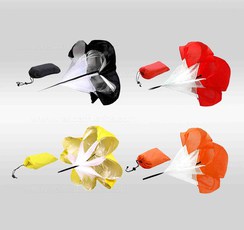 Competition Bumper Plates - Colour image